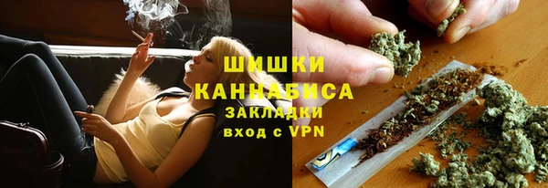 ПСИЛОЦИБИНОВЫЕ ГРИБЫ Аркадак